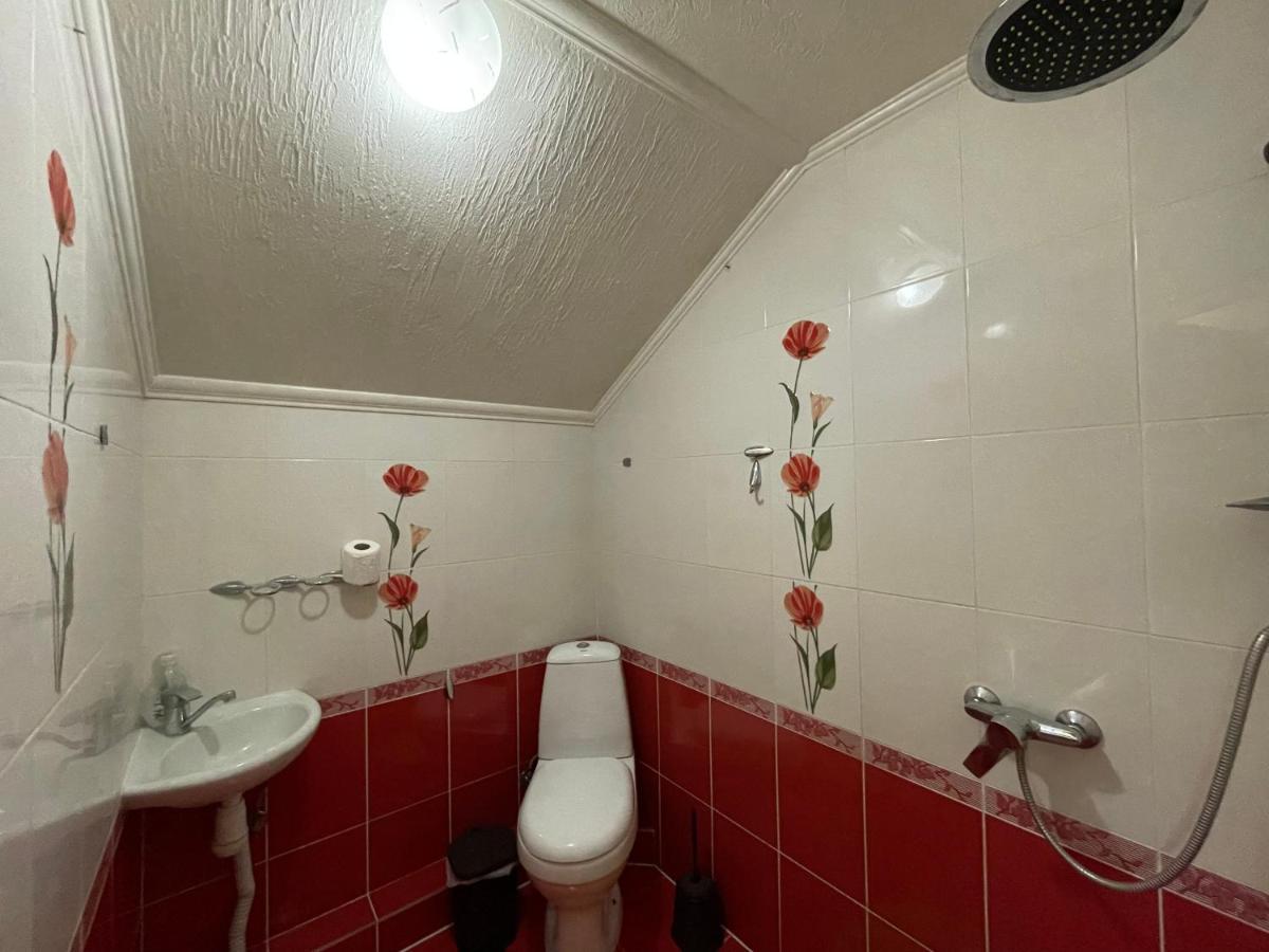 Villa Aeroport Розовый Дом Chisinau Luaran gambar